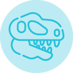 Promotion Dinosaures