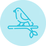 Promotion Ornithologie