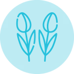 Promotion Plantes, fleurs, jardins